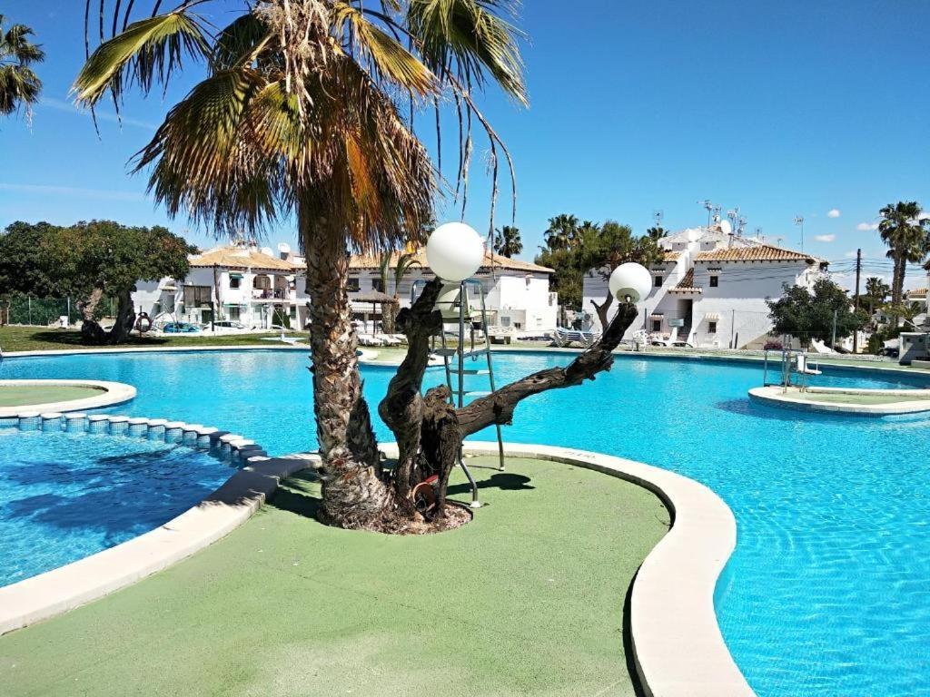 Charmant Rez-de-chaussée Et Piscine Bar-restaurant Appartement